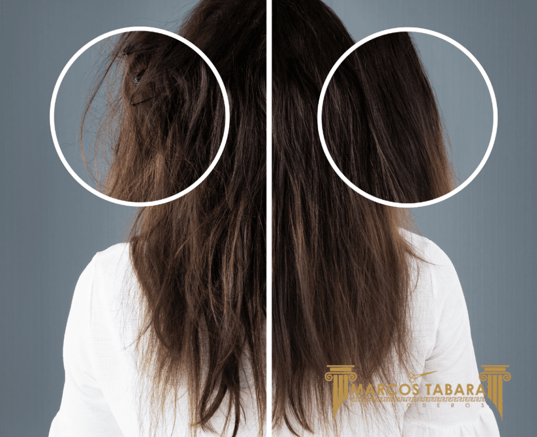 Lee más sobre el artículo Recupera el cabello después del verano